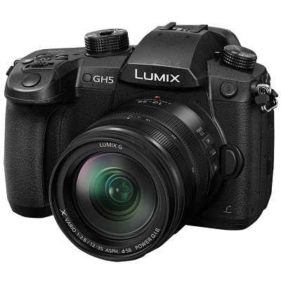دوربین عکاسی دیجیتال پاناسونیک مدل Lumix DC-GH5A 