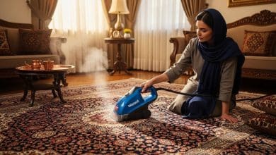 بهترین مارک بخارشوی